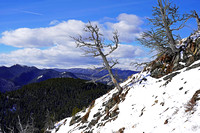 March 27, 2021, Bull Creek Hills
