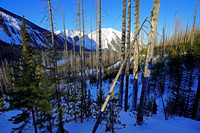 climb12 Jan 21 Mount Haffner FINAL2 002