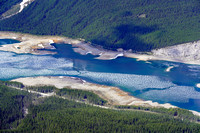 closeup20 May 1 Little Lougheed 048