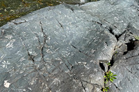 rock2 July 19 Mount St Eloi iPhone 135