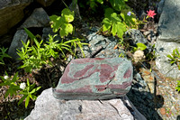 rock4 July 19 Mount St Eloi iPhone 139