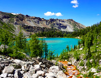 #7 - June 30-July 2 Redstreak mid 308