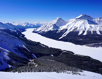 #1 Jan Little Lougheed