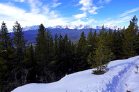 climb7 Castle Mtn Lookout 035