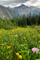 EC27 Jasper August 2020 IPhone 199