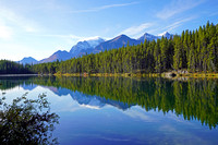 Herbert2 September 2019 Lake O'Hara trip a7r 467