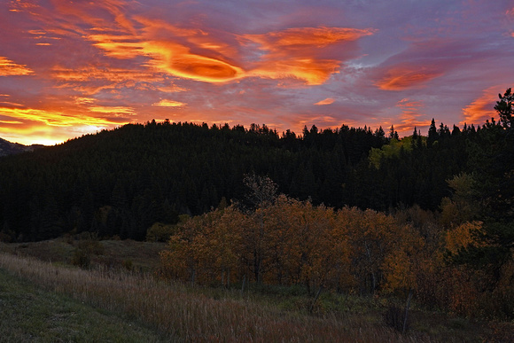 sunrise11