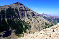 August 17, 2024 Rogan Peak plus