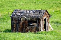 June 8 2019 weathered shed9 reduced
