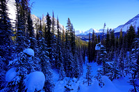 2019-01-29 Burstall Pass climb31