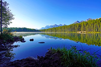 Herbert2 Sept 7 2019 a7r 008 reduced