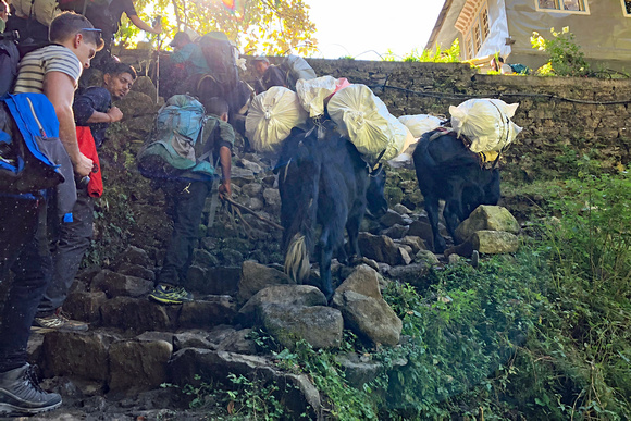 Oct 22 (19) 2019Everest4 296