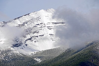 June 8 2019 Nihahi Ridge close up1 reduced
