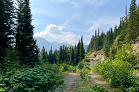 August 9, 2024, Paradise Lake plus